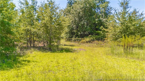 Tiny photo for TBD Blue Springs Road, Red Springs, NC 28377 (MLS # 767998)