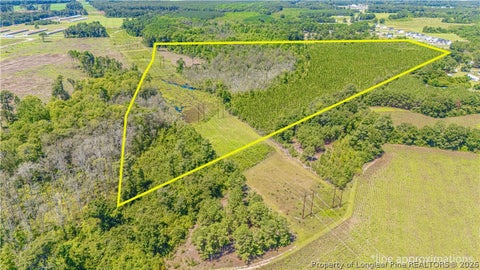 Photo of TBD Blue Springs Road, Red Springs, NC 28377 (MLS # 767998)