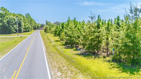 Tiny photo for TBD Blue Springs Road, Red Springs, NC 28377 (MLS # 767998)