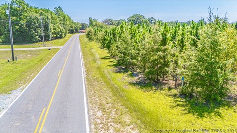 Tiny photo for TBD Blue Springs Road, Red Springs, NC 28377 (MLS # 767998)