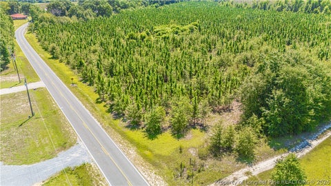 Tiny photo for TBD Blue Springs Road, Red Springs, NC 28377 (MLS # 767998)