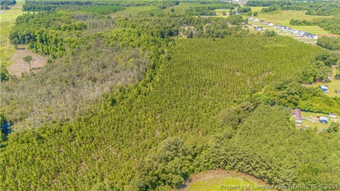 Tiny photo for TBD Blue Springs Road, Red Springs, NC 28377 (MLS # 767998)
