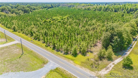 Tiny photo for TBD Blue Springs Road, Red Springs, NC 28377 (MLS # 767998)