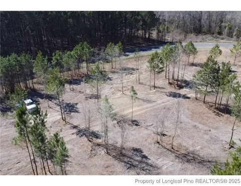 Photo of Newkirk Extension, Elizabethtown, NC 28337 (MLS # 749880)