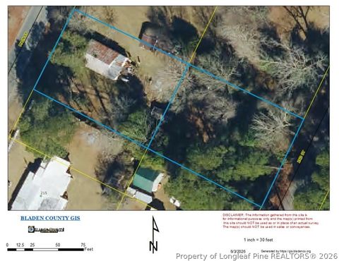 Photo of 191 Main Street, Tar Heel, NC 28392 (MLS # 763702)