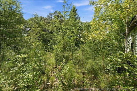 Tiny photo for 232 Iris Street, Raeford, NC 28376 (MLS # 765554)