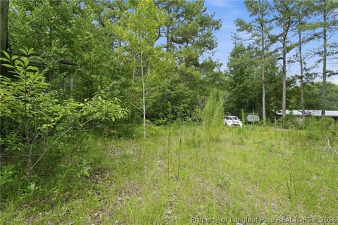 Tiny photo for 232 Iris Street, Raeford, NC 28376 (MLS # 765554)
