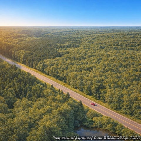 Tiny photo for TBD Highway 74 Bypass E, Rockingham, NC 28379 (MLS # 768772)