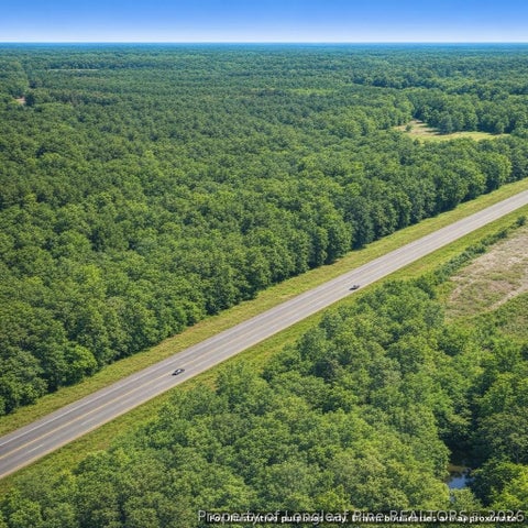 Tiny photo for TBD Highway 74 Bypass E, Rockingham, NC 28379 (MLS # 768772)