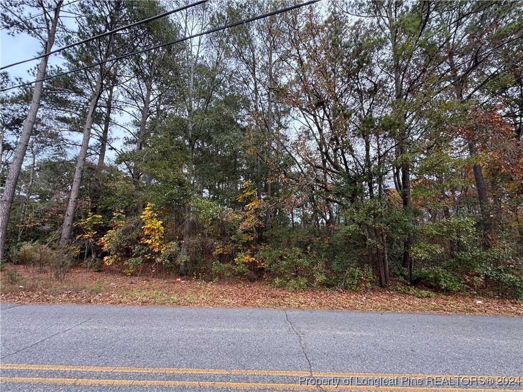 Photo of E Donaldson Avenue, Raeford, NC 28376 (MLS # 735100)
