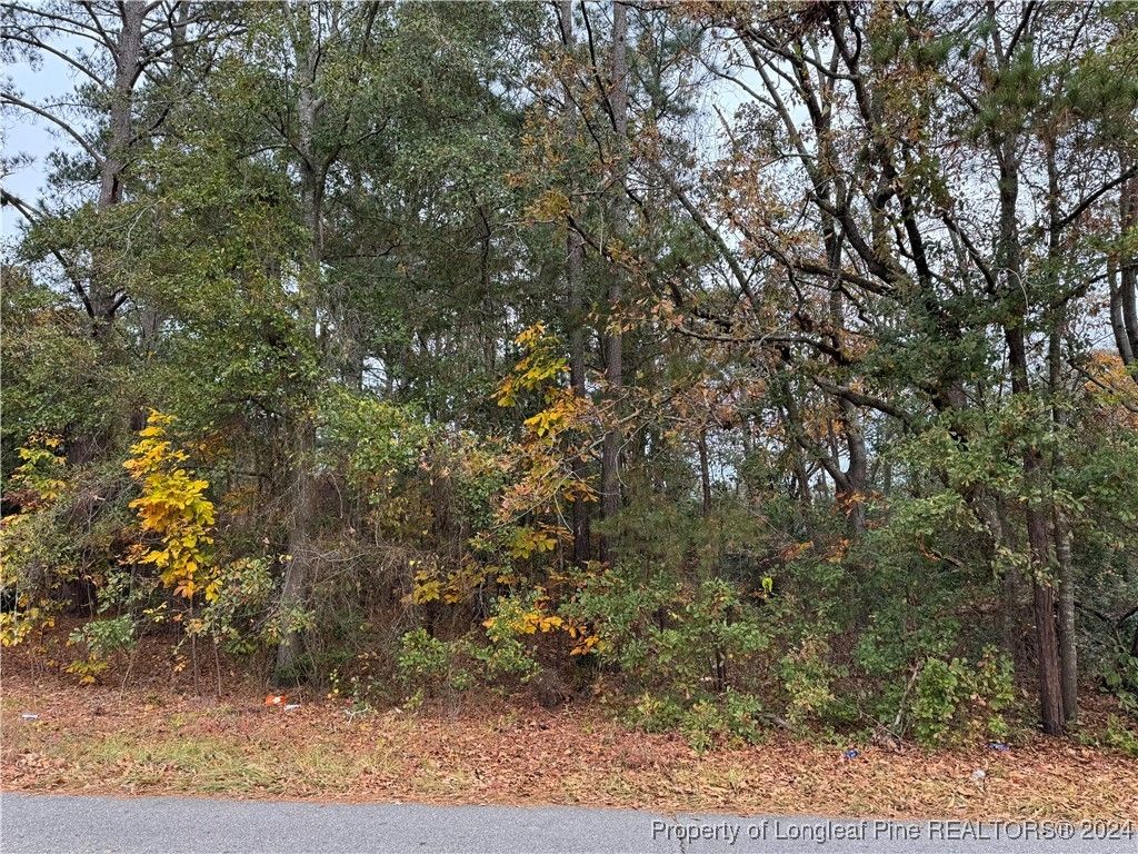 Photo of E Donaldson Avenue, Raeford, NC 28376 (MLS # 735100)