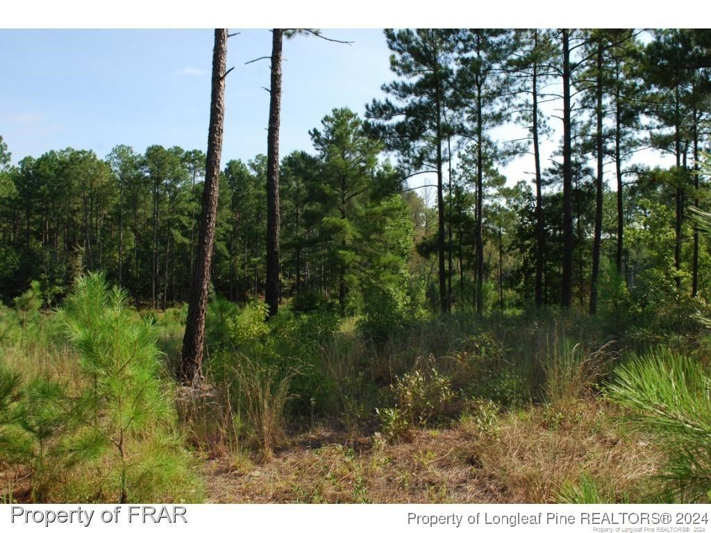 Photo of 182 Broadlake (637) Lane, Spring Lake, NC 28390 (MLS # 734181)