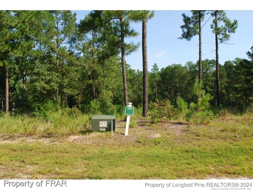 Photo of 182 Broadlake (637) Lane, Spring Lake, NC 28390 (MLS # 734181)