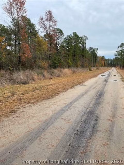 Photo of Porcelain Lane, Maxton, NC 28364 (MLS # 765894)