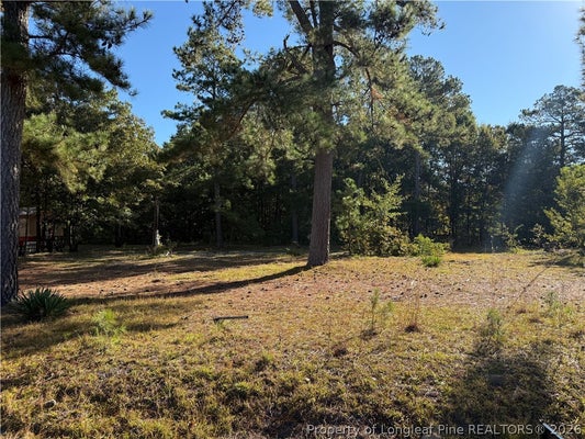 432 GAINEY RD, RAEFORD, NC 28376 - Image 5891af4784fb3784c552e68e74e0ccd1/596844709
