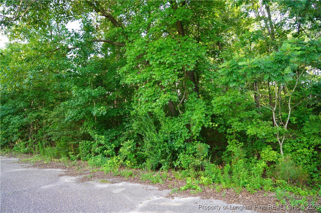 LOT 6 Lakeview Drive