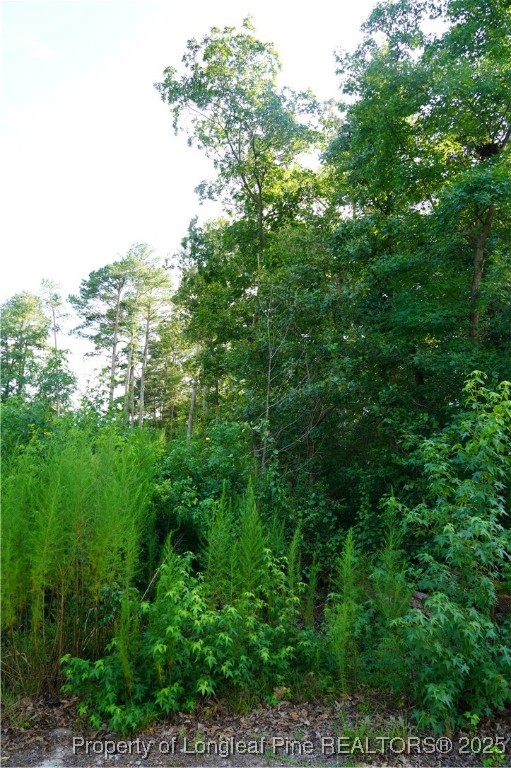 LOT 6 Lakeview Drive