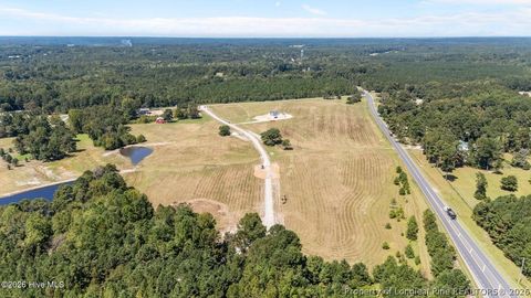 Tiny photo for 540 Sanctuary Trail, Cameron, NC 28326 (MLS # 758372)