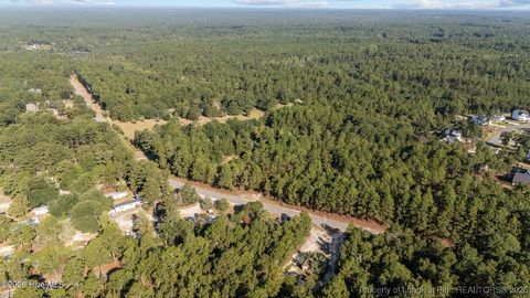 Tiny photo for 376 Foxfire Road, Aberdeen, NC 28315 (MLS # 756305)