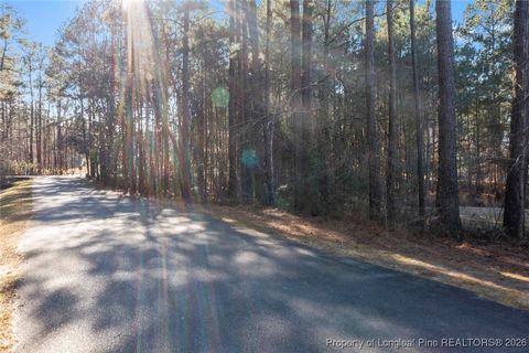 Tiny photo for 125 Applewood Lane, Vass, NC 28394 (MLS # 755486)