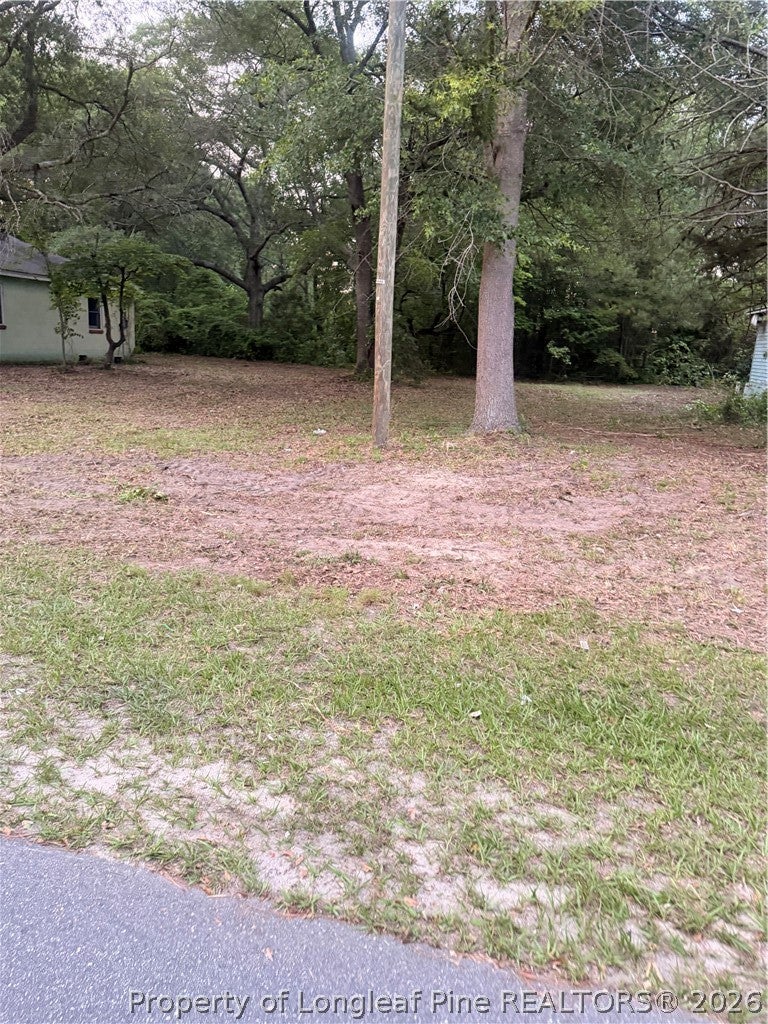 Photo of 23661 Bundy Street, Wagram, NC 28369 (MLS # 770355)