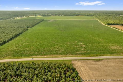 Tiny photo for 00 Old Wire (Lot 14) Road, Shannon, NC 28386 (MLS # 764233)