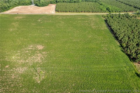 Tiny photo for 00 Old Wire (Lot 14) Road, Shannon, NC 28386 (MLS # 764233)
