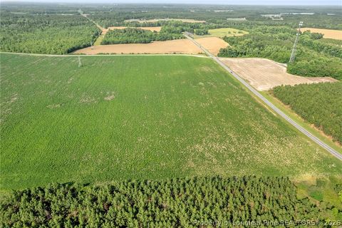 Tiny photo for 00 Old Wire (Lot 14) Road, Shannon, NC 28386 (MLS # 764233)