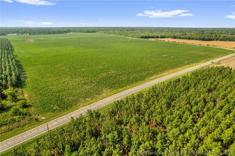 Tiny photo for 00 Old Wire (Lot 14) Road, Shannon, NC 28386 (MLS # 764233)