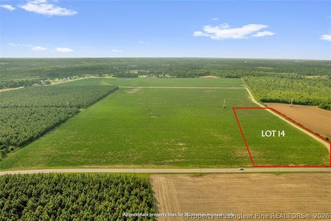 Photo of 00 Old Wire (Lot 14) Road, Shannon, NC 28386 (MLS # 764233)
