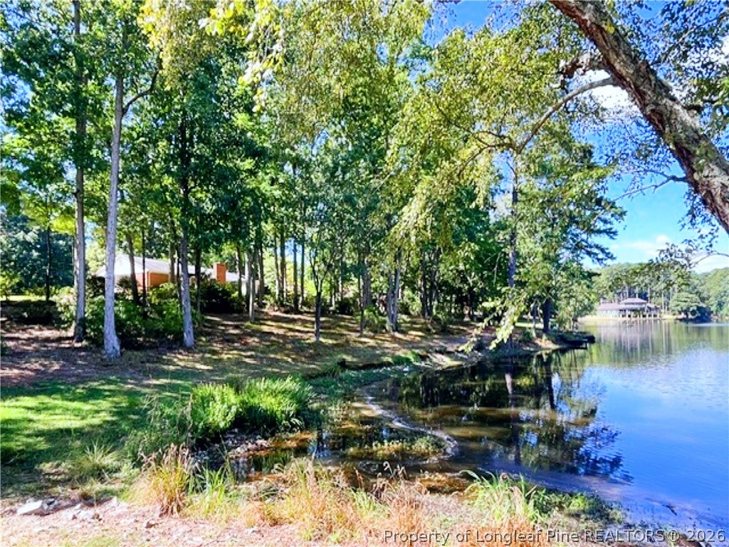 Photo of 1904 Lord Ashley Drive, Sanford, NC 27330 (MLS # 770699)