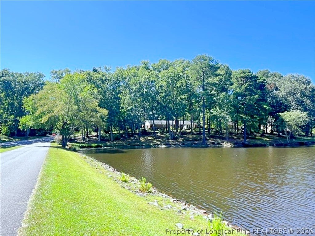 Photo of 1904 Lord Ashley Drive, Sanford, NC 27330 (MLS # 770699)