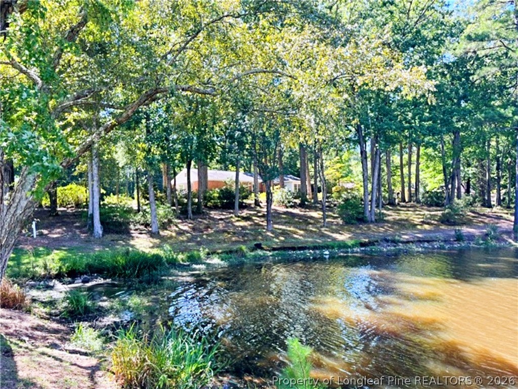 Photo of 1904 Lord Ashley Drive, Sanford, NC 27330 (MLS # 770699)