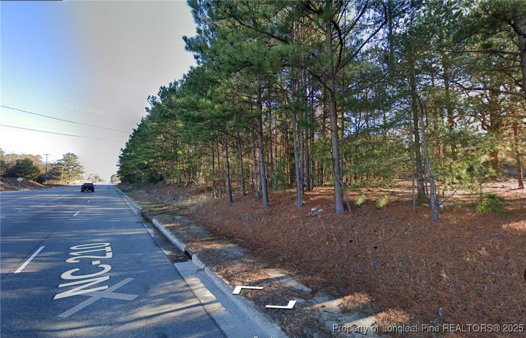 Photo of 1274 Lillington Highway, Spring Lake, NC 28390 (MLS # 738555)