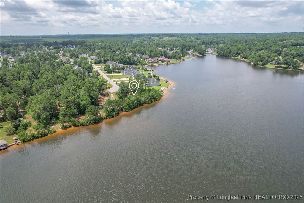 Photo of 233 Clearview Court, Sanford, NC 27332 (MLS # 746573)