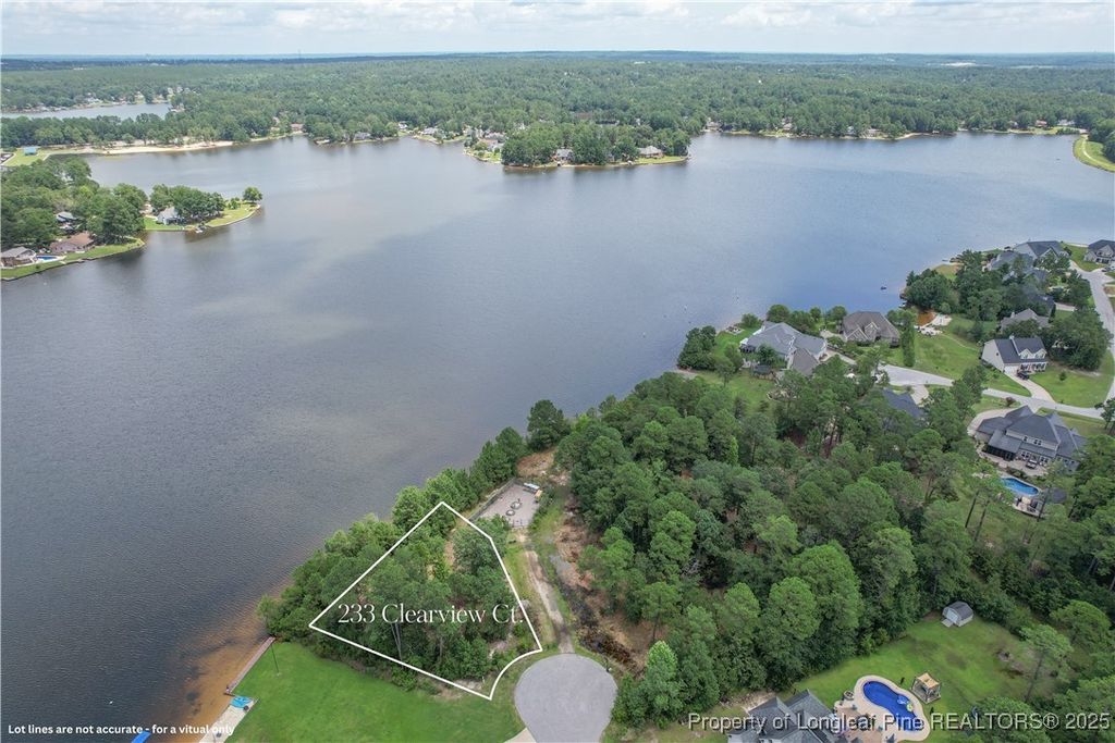 Photo of 233 Clearview Court, Sanford, NC 27332 (MLS # 746573)