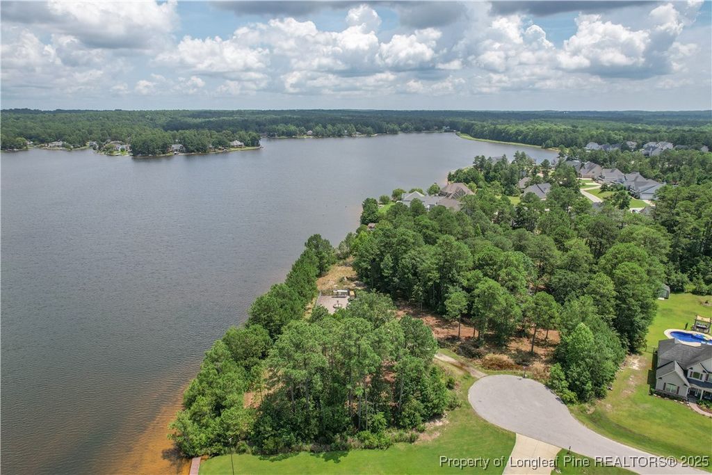 Photo of 233 Clearview Court, Sanford, NC 27332 (MLS # 746573)