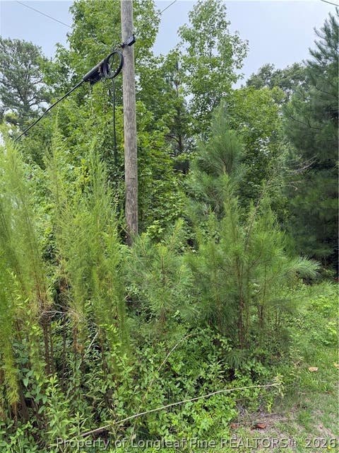 Tiny photo for 2105 Sapona Road, Fayetteville, NC 28312 (MLS # 766264)