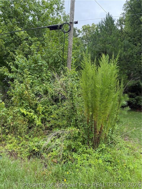 Tiny photo for 2105 Sapona Road, Fayetteville, NC 28312 (MLS # 766264)