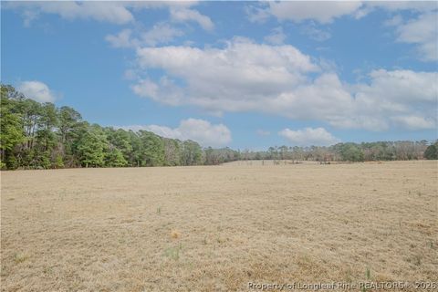 Tiny photo for 480 Blakely Road, Sanford, NC 27332 (MLS # 758702)