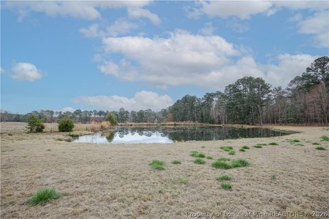 Tiny photo for 480 Blakely Road, Sanford, NC 27332 (MLS # 758702)