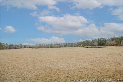 Tiny photo for 480 Blakely Road, Sanford, NC 27332 (MLS # 758702)