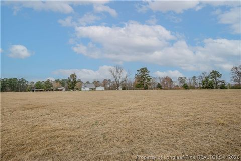 Tiny photo for 480 Blakely Road, Sanford, NC 27332 (MLS # 758702)