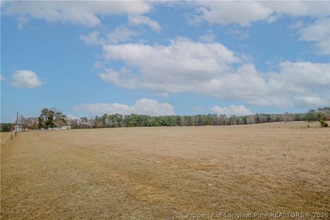 Tiny photo for 480 Blakely Road, Sanford, NC 27332 (MLS # 758702)