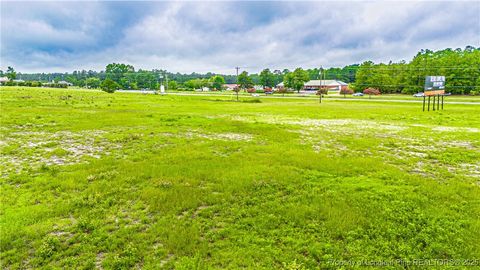 Tiny photo for tbd US 1 Highway, Vass, NC 28394 (MLS # 750694)