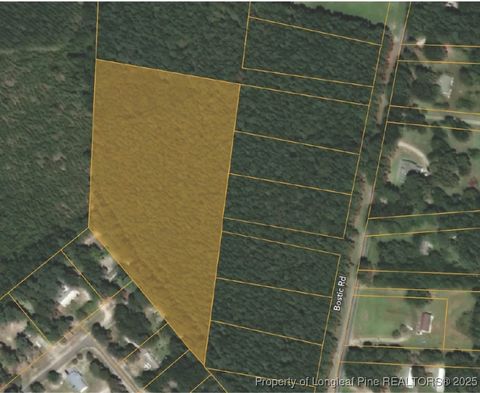 Tiny photo for TBD BOSTIC (LOT 1) Road, Laurinburg, NC 28352 (MLS # 754891)