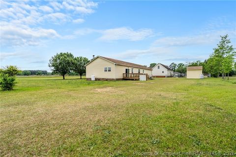 Tiny photo for 100 L McMillian Road, Raeford, NC 28376 (MLS # 762745)