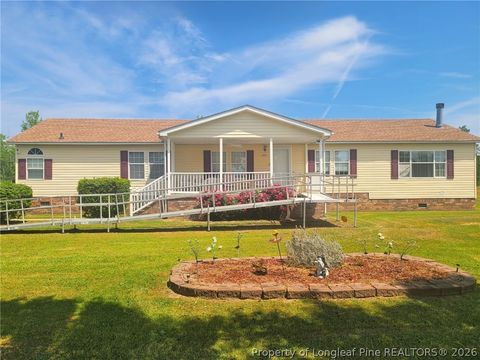 Photo of 100 L McMillian Road, Raeford, NC 28376 (MLS # 762745)