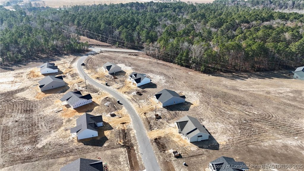 Photo of 125 Orchard Lane, Parkton, NC 28371 (MLS # 754962)