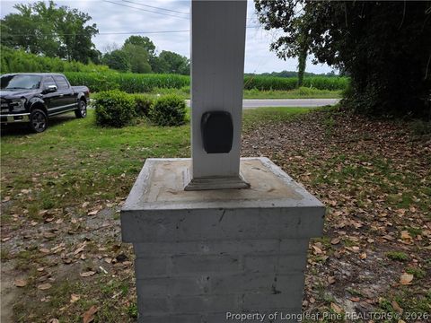 Tiny photo for 2505 NC Highway 130, Rowland, NC 28383 (MLS # 763565)